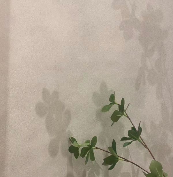 長沙米卡蘭裝飾材料有限公司,湖南裝飾材料,外墻裝飾裝修,長沙藝術涂料,長沙墻藝材料
